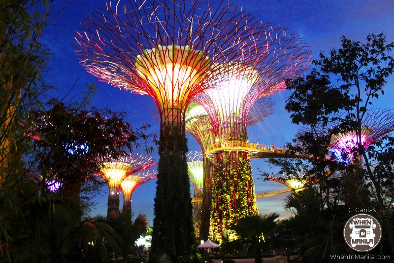 Supertrees at Night Supertrees at Night