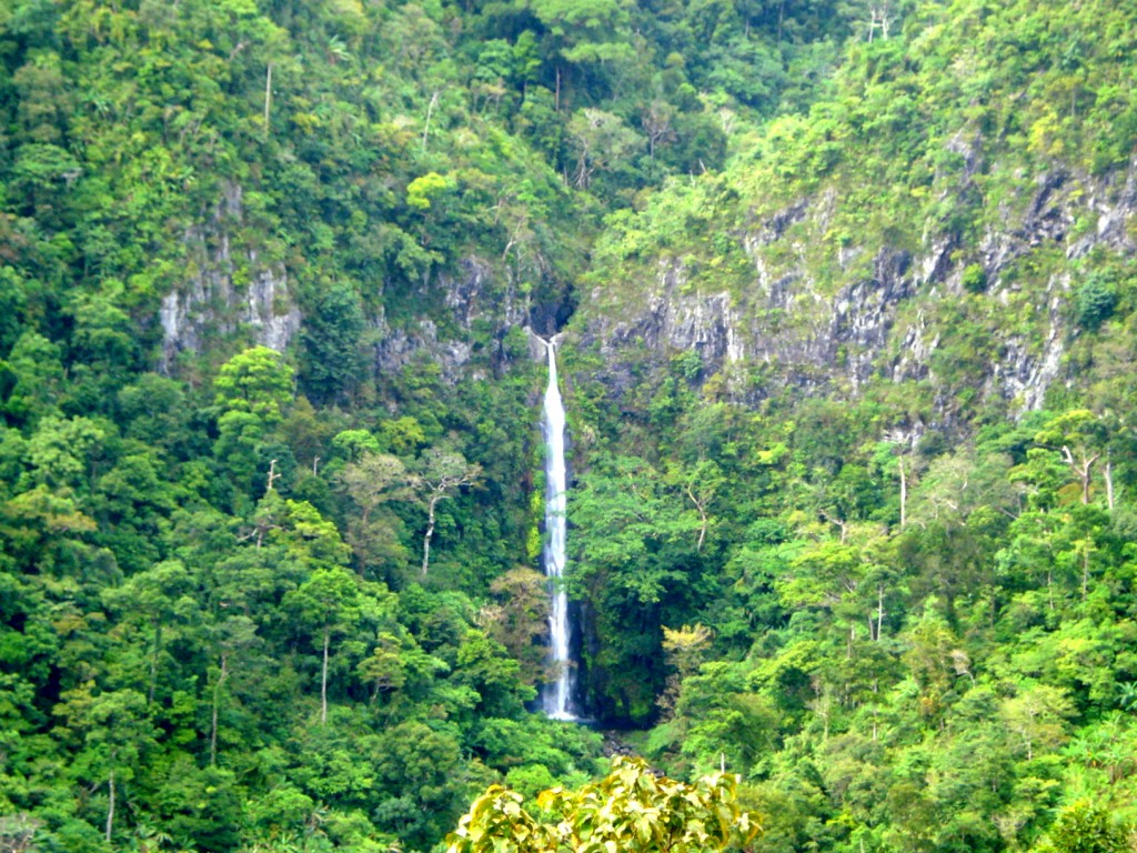 Don Salvador Benedicto Waterfalls