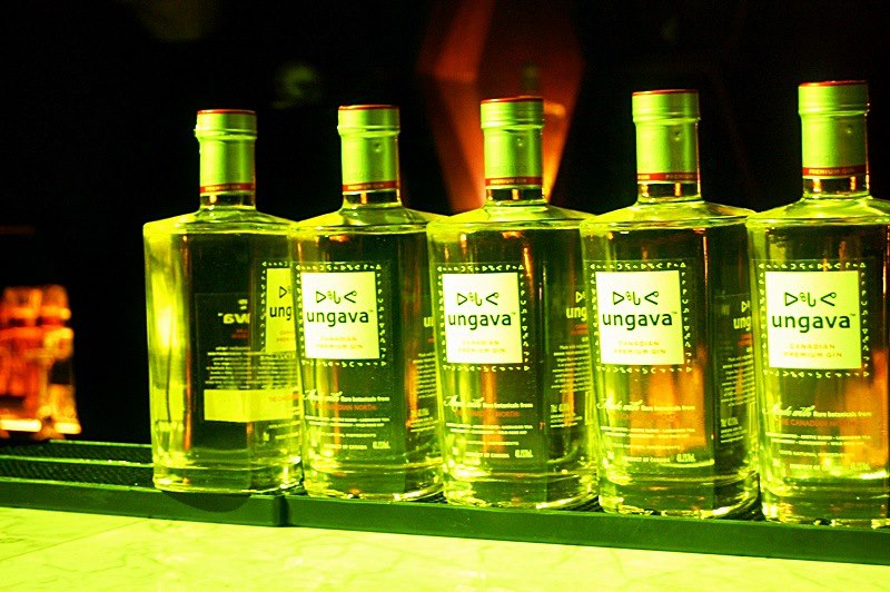 ungava gin launch 10