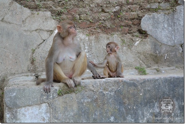 Pashupatinath Temple, Kathmandu, Nepal 105