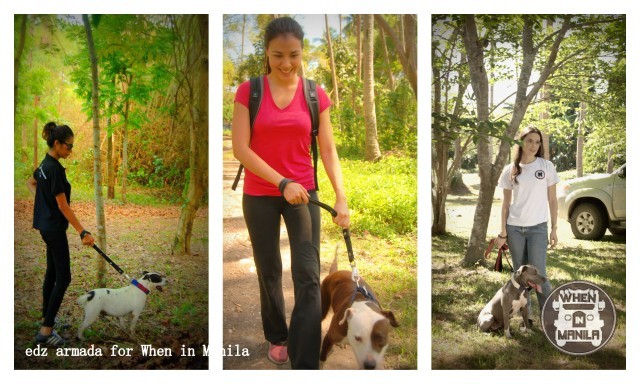 Save Laguna Pit Bulls: Volunteer. Be a dog's hero. 4 5