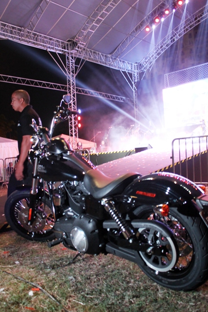 Harley-Davidson Hogs 3