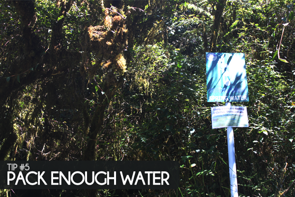 Mt Pulag Hike Conquer