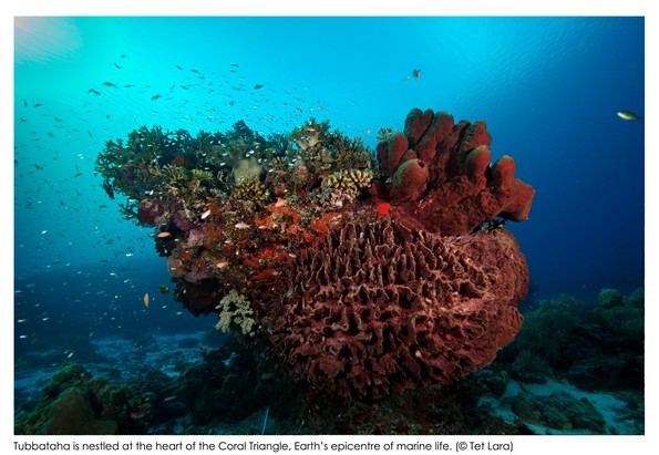 WWF-Philippines and TMO Presents: Riding The Waves Of Change For Tubbataha Reefs 7 by Tet Lara