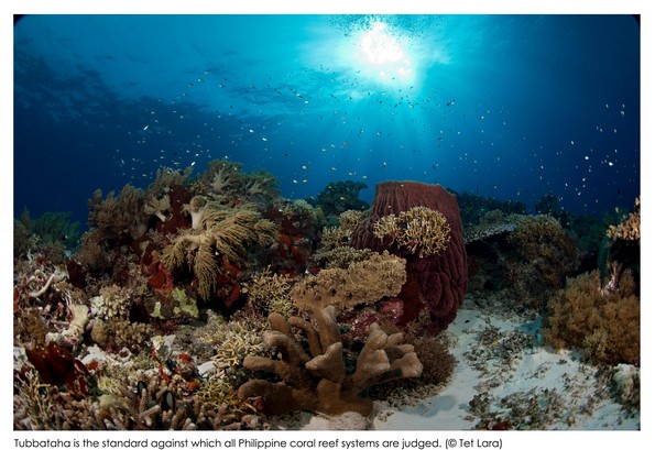 WWF-Philippines and TMO Presents: Riding The Waves Of Change For Tubbataha Reefs 5 by Tet Lara