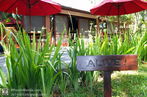 The Farm At San Benito: A Wellness Haven 8 the-farm-when-in-manila (43)