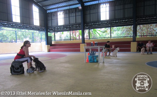 Pet Centrics Dog Training Venue