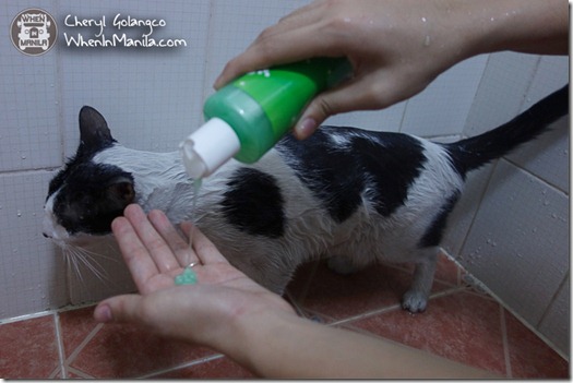 Pet Supplies Cat Litter and Cat Shampoo 06