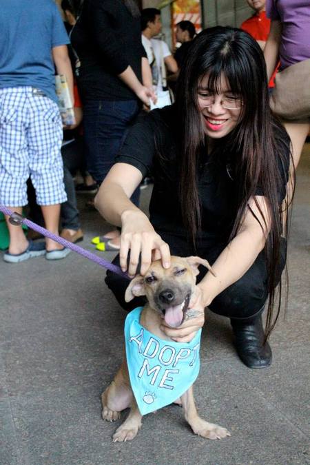 CARA Welfare Philippines Dog & Cat Adoption