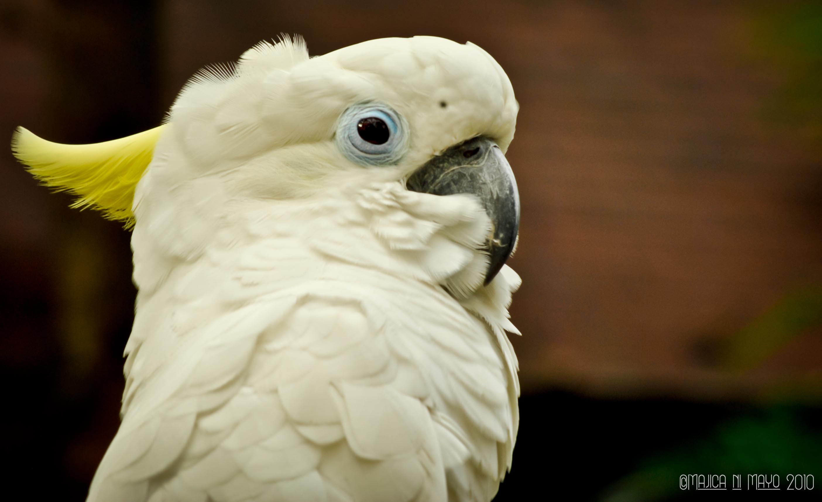 10 Travel Photography Must Haves from Henry’s Camera & Photo Supply Shop 6 ManilaZoo-21