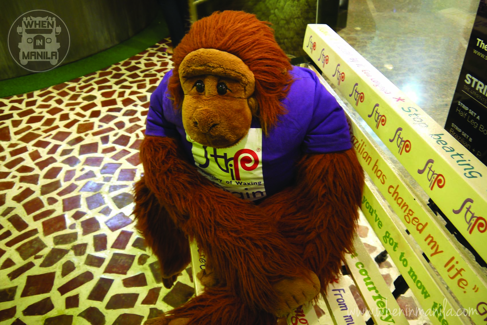 monkey1