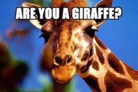 Giraffe Riddle