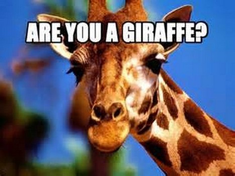 Giraffe Riddle