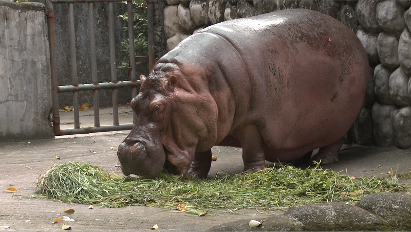 The Manila Zoo Commisary Turnover_14.26 PM