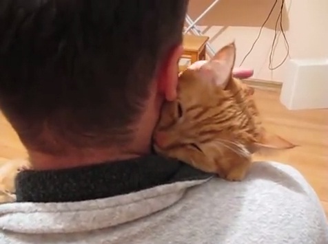 Best Cat in the World Purring Kitty Cat Gives Owner the Biggest Hug