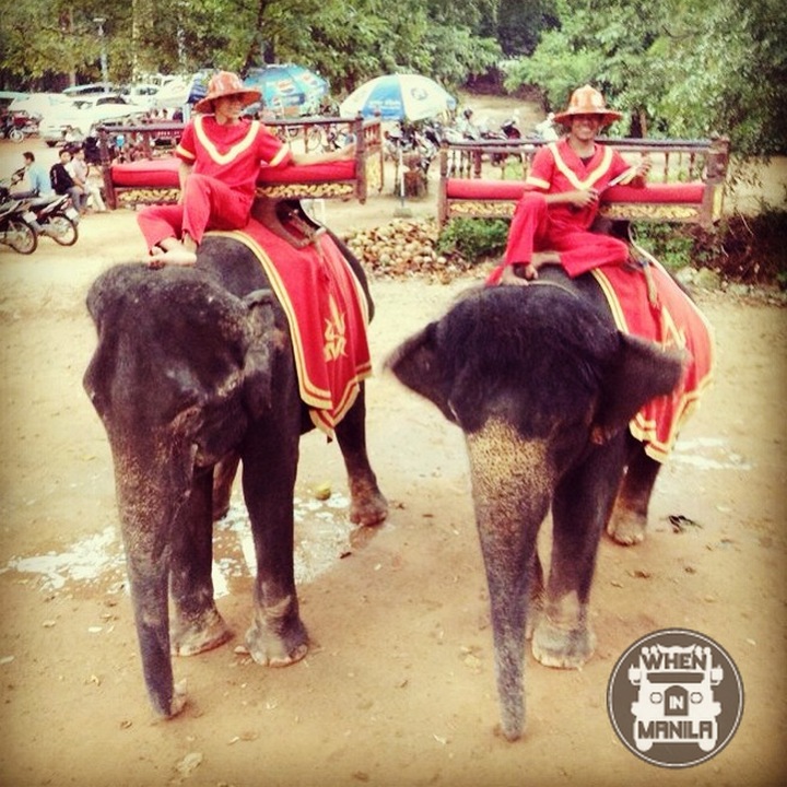 Elephant Riding – a touristy but fun activity