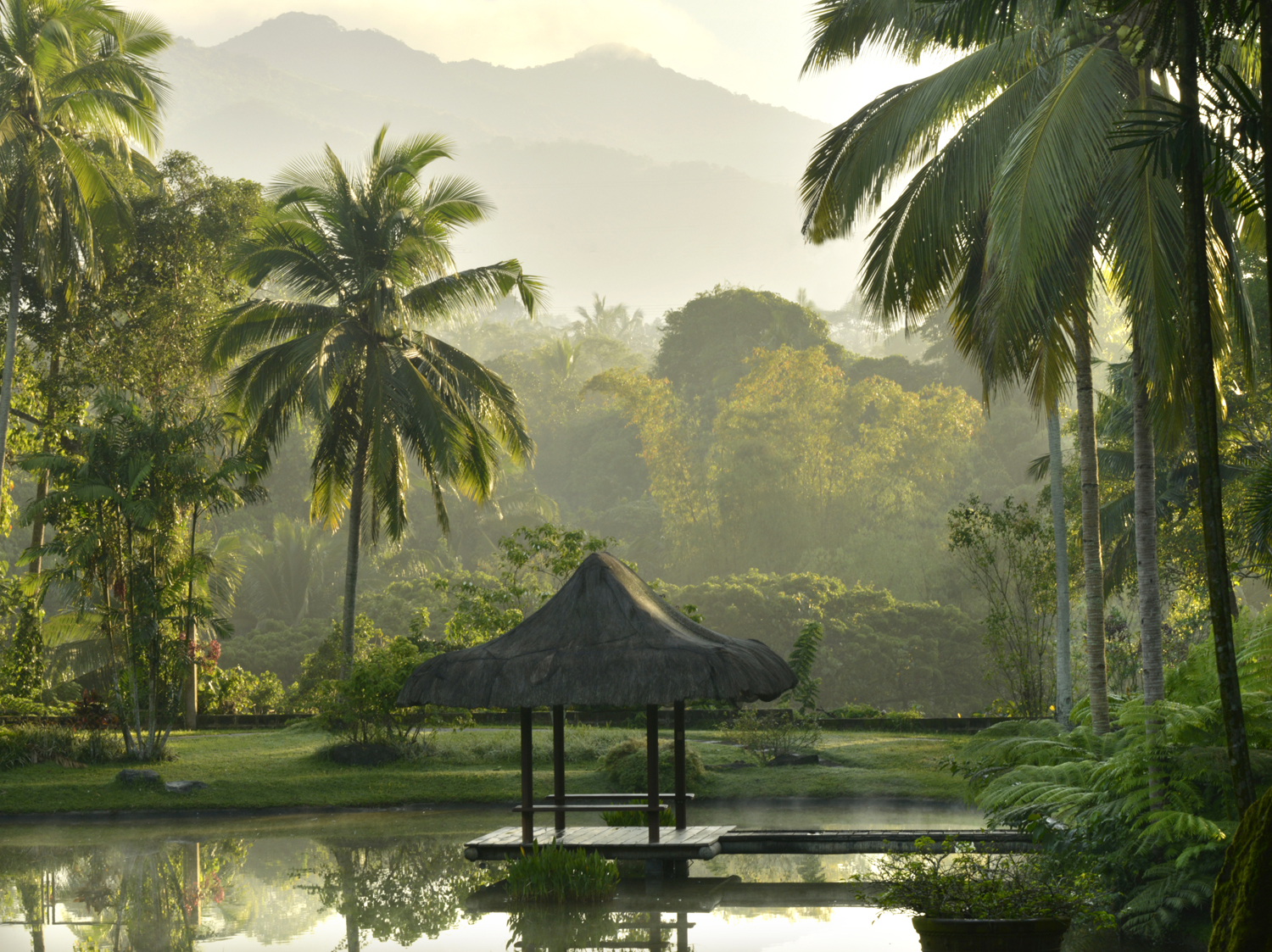 Organic Environment