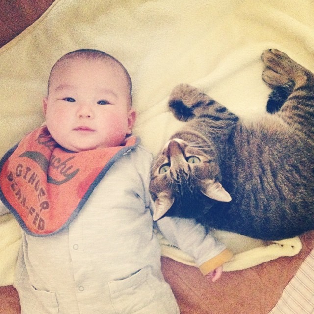 20 Adorable Pets on Instagram That We Love! 20 e27e82304e6d11e3bf9312c70e4ebd7c_8