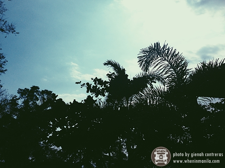 Editing Pictures with VSCO Cam Editing Pictures with VSCO Cam