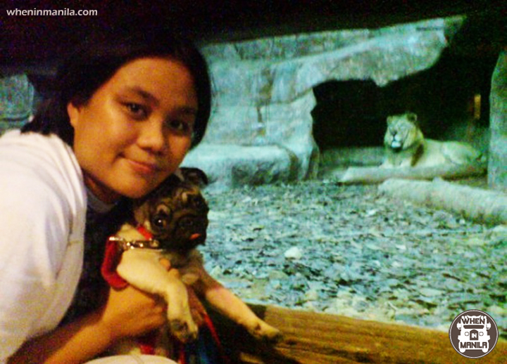 Top 5 PetFriendly Places in Manila to Bond with Your Pets When In Manila