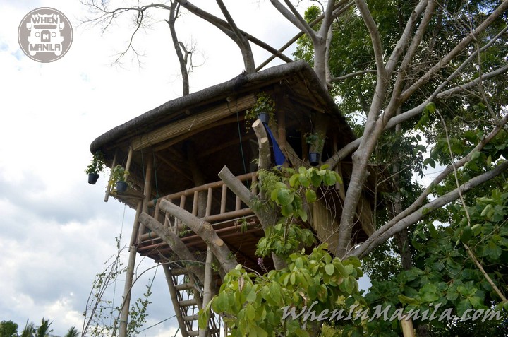 Amazing Tree house Furniture of the Future Bamboo 2 in 1 carpentry WhenInManila 1