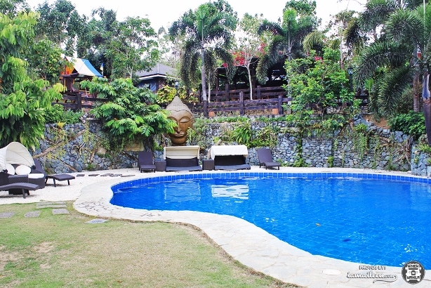 Top 5 Reasons Why You Should Join the 2014 FLOW Weekend Retreats 9 Cintai-coritos-garden-batangas-bali-indonesia-swimming-pool