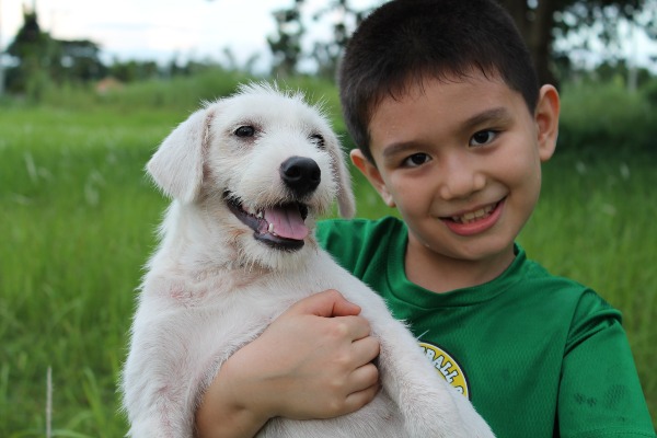 Happy Animals Club: 9 Year Old Boy Creates Animal Shelter Project and AMAZINGNESS Happens 6 Happy Animals Club 9 Year Old Boy Creates Animal Shelter Project to Help Stray Dogs and Cats in the Philippines (6)