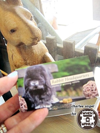 Top 5 Reasons on why Rabbit Headquarters (RHQ) is the Right Place to Get Your Pet Bunny in Singapore. 22 Top5 Reasons Rabbit Headquarters-RHQ-Right Place-Bunny Singapore-wheninmanila-rabbits-CharlesAngel53Top5 Reasons Rabbit Headquarters-RHQ-Right Place-Bunny Singapore-wheninmanila-rabbits-CharlesAngel