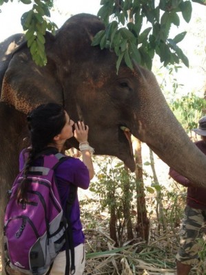 elephanttourismthailand
