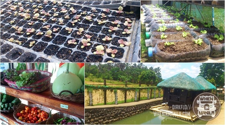 Traveling and Discovering the Treasures of the Fun and Rich Southern Tagalog Region 1 southern_tagalog_10