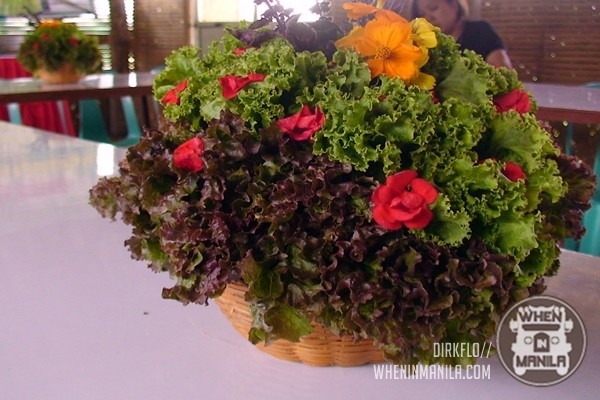 Traveling and Discovering the Treasures of the Fun and Rich Southern Tagalog Region 4 southern_tagalog_12