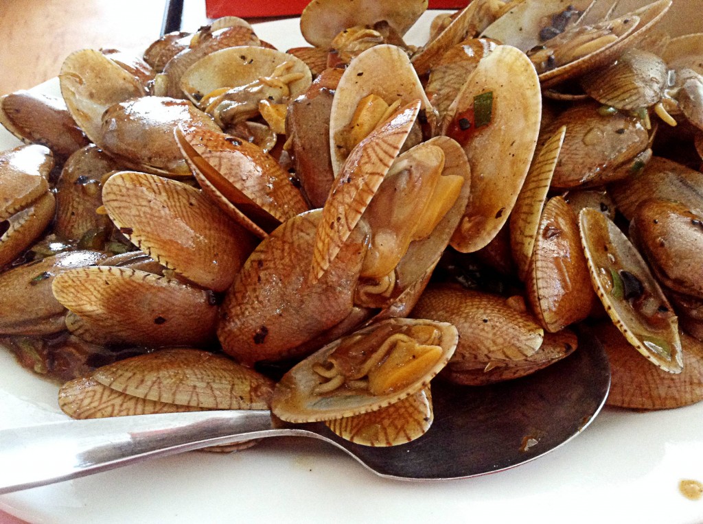 food photography clams