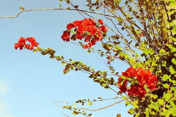 11 Passionate Filipinos Share the One Thing They Do To Be Happy and Successful 18 Hannah To