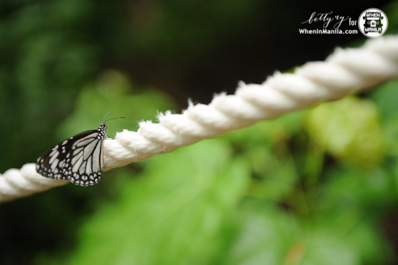 Amanpulo Amanpulo-23