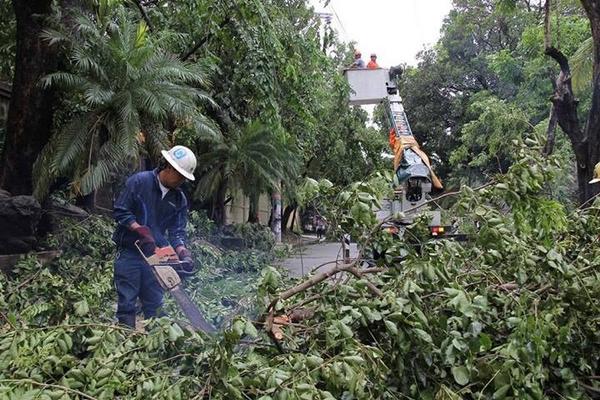 Typhoon Glenda (1)