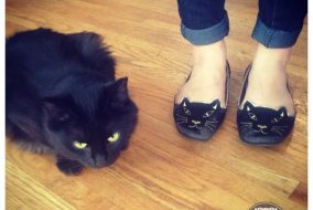7 Reasons Why Cat People are Awesome