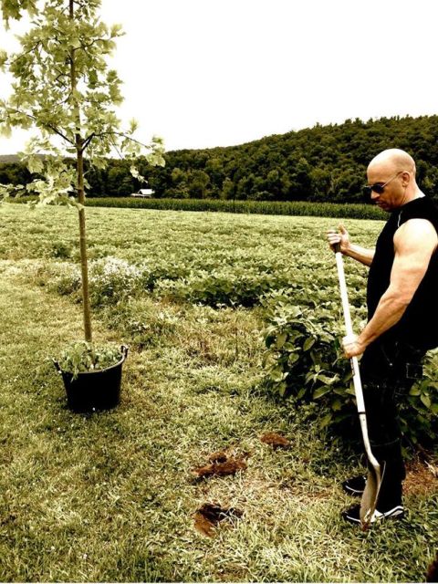 Vin Diesel Plant a Tree for Groot