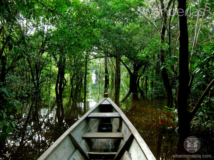 Amazon River, Puerto Narino, Colombia
