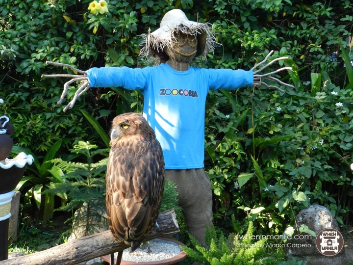 Reuniting with Nature at Zoocobia Clark Pampanga Reuniting with Nature at Zoocobia Clark Pampanga