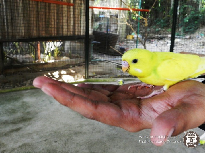 Reuniting with Nature at Zoocobia Clark Pampanga Reuniting with Nature at Zoocobia Clark Pampanga