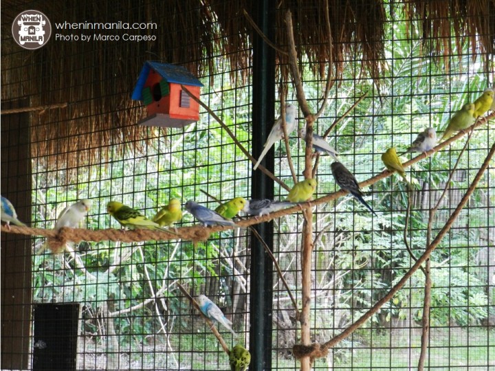 Reuniting with Nature at Zoocobia Clark Pampanga Reuniting with Nature at Zoocobia Clark Pampanga