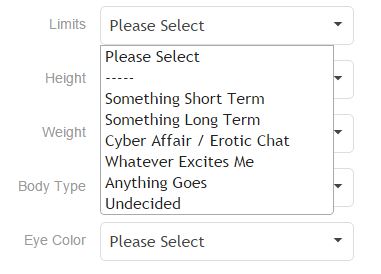Thinking of Having an Affair There's a Website for That 2