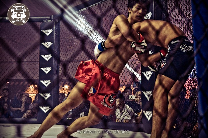 PONY MMA