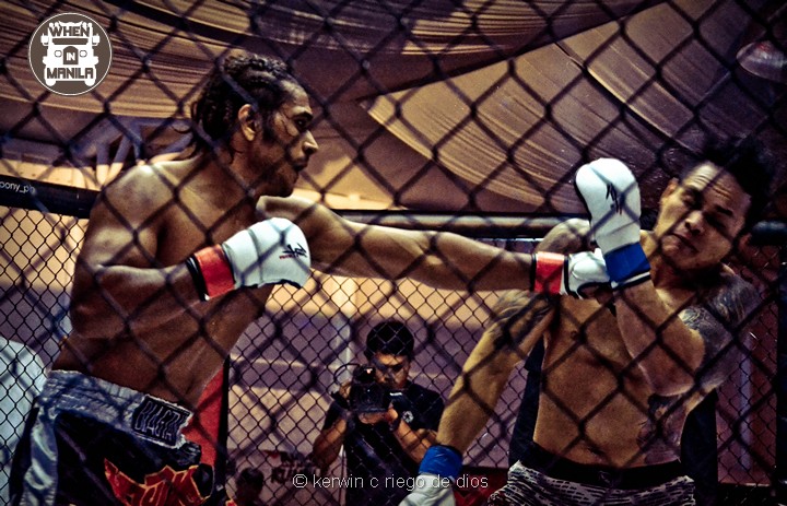 PONY PONY MMA