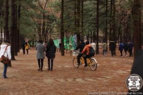 7 Top Tips for First-Time Travellers to Korea