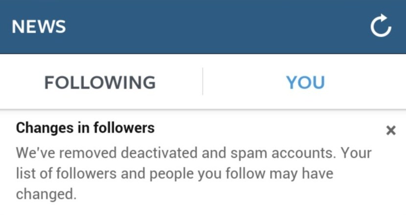 Instapurge - Instagram deletes spam accounts (2)