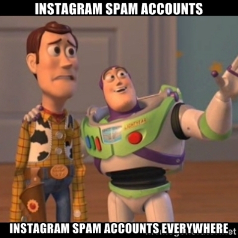Instapurge Instagram deletes spam accounts 3