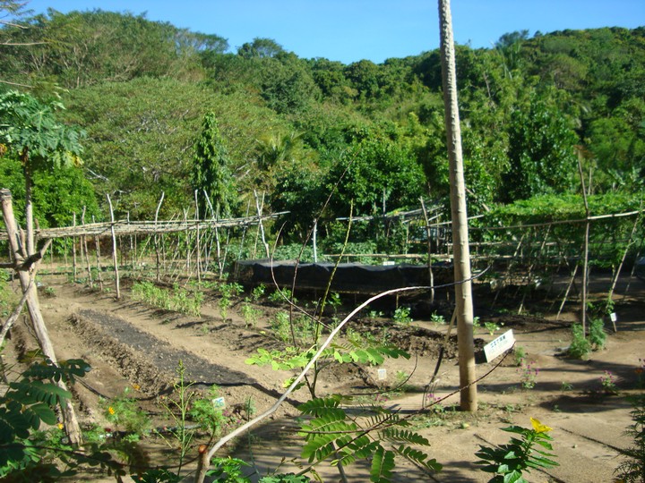 How This Group is Saving Mother Nature in Palawan 5 How This Group is Saving Mother Nature in Palawan (7)