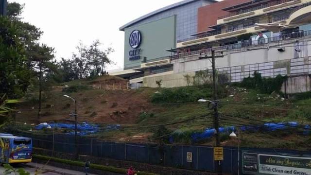 Mall cuts pine trees in baguio 2