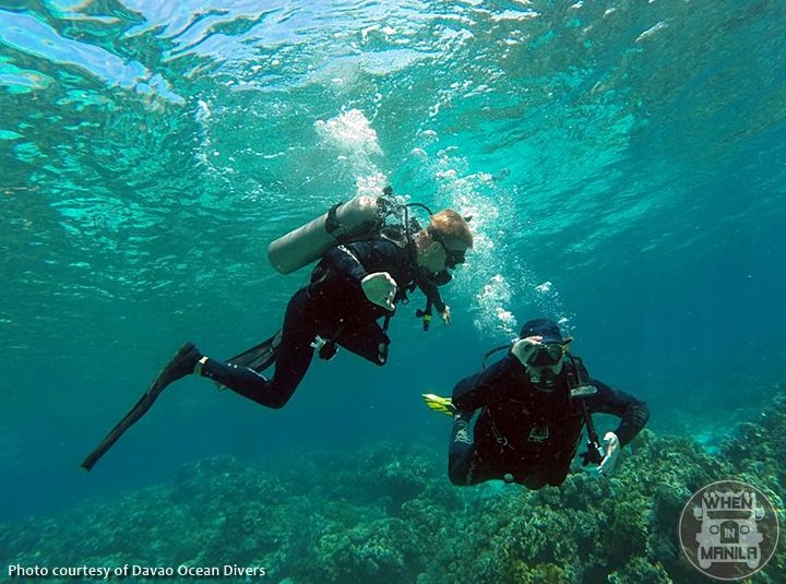 Dive students